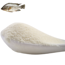 Polvo o gránulo de péptido de colágeno de pescado hidrolizado de alimentos saludables antienvejecimiento de venta caliente para suplemento y cosmético